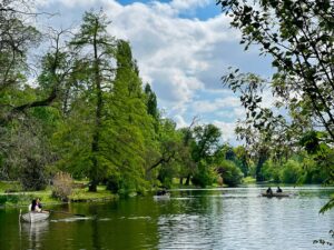 two people in a row boat on a lake
